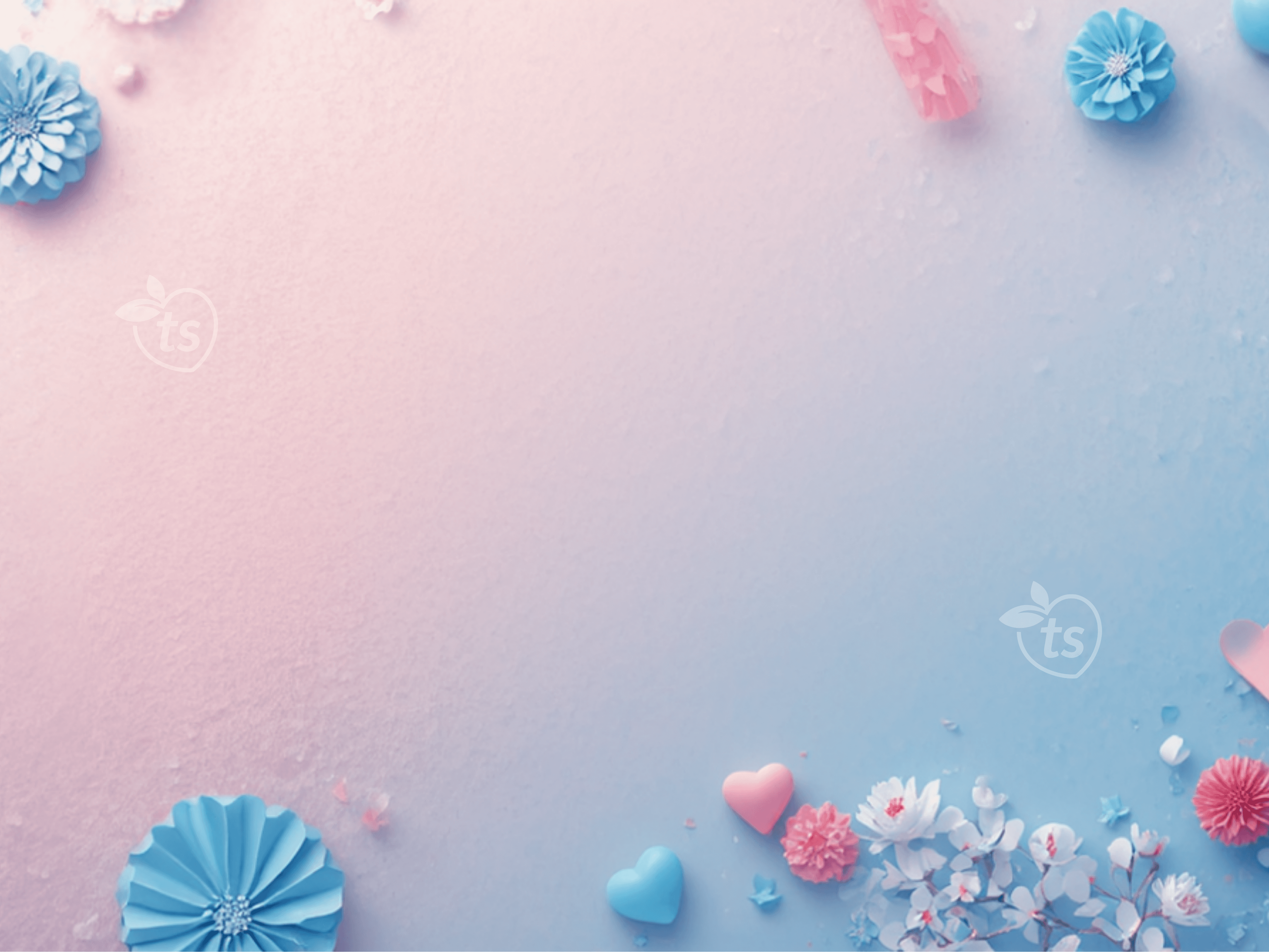 tsgabrielle legal policies