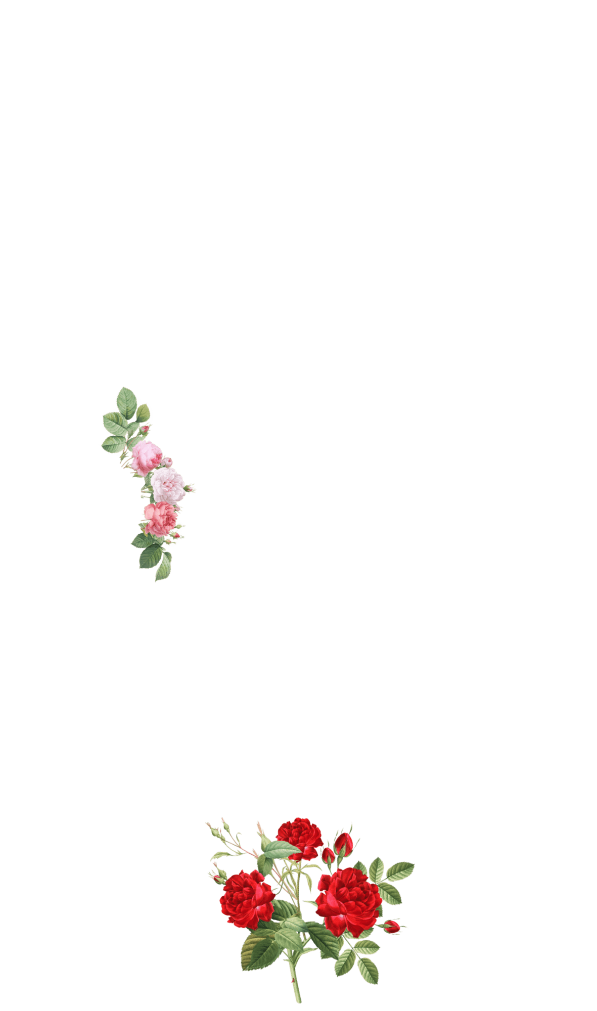 tsgabrielle® • For Her • TransFLOWer™ • Athletic Shoes • White