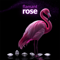 Flamant Rose by tsgabrielle®