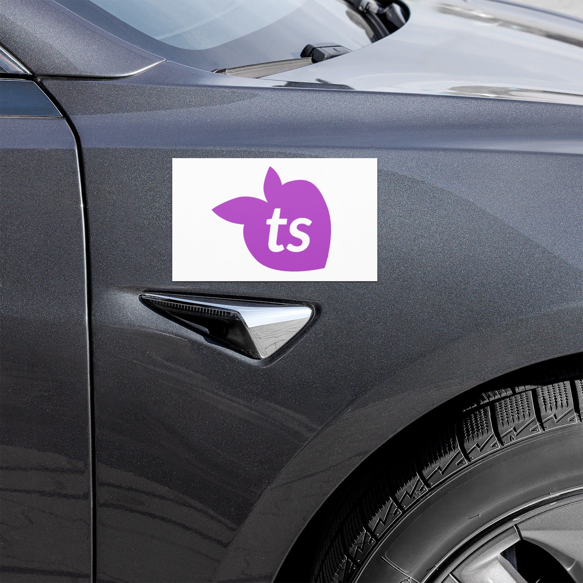 tsgabrielle® • Car Magnets • White • One Sizes