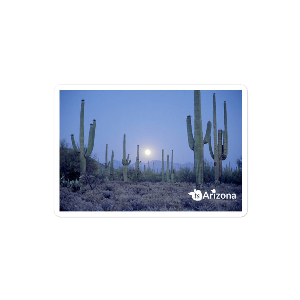 tsgabrielle® • Arizona 🌵 - Saguaro National Park • Sticker Bubble-Free • 3 Sizes • Vinyl Removable