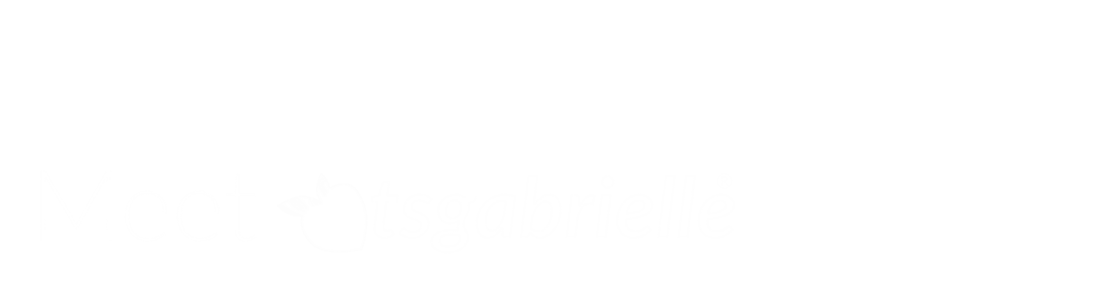 tsgabrielle footer meet